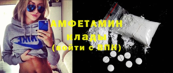 стаф Алзамай