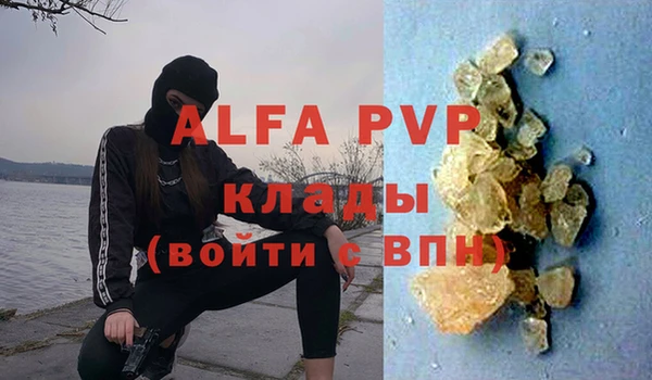 стаф Алзамай