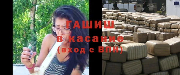 стаф Алзамай