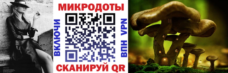 shop как зайти  Саянск  Псилоцибиновые грибы Cubensis 